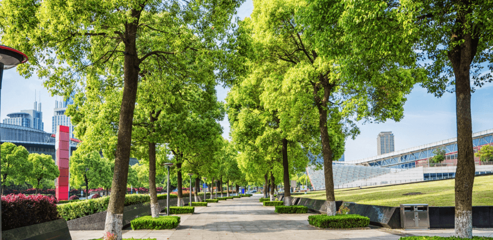 Landscaping Done For Public Place By Us