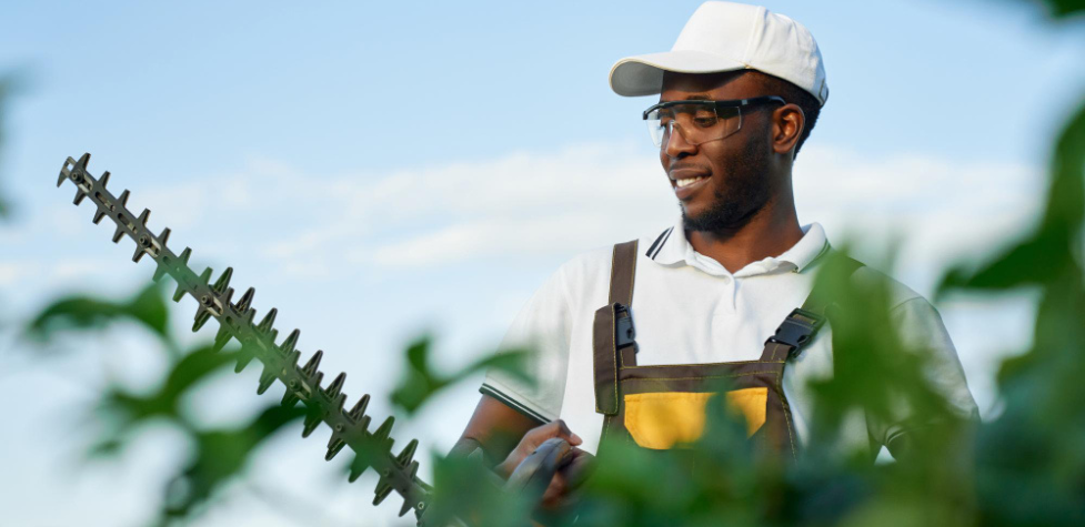 garden maintenance with hedge cutter