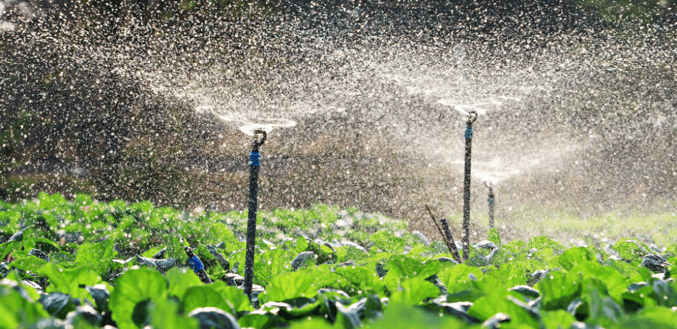 outdoor irrigation system