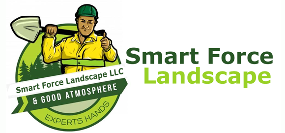 Smart Force Landscape Logo